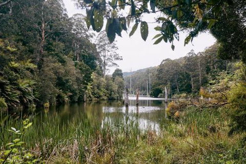 Drumour - Holiday Find 1