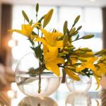 KUI Manhattan Apartments - Holiday Find 0