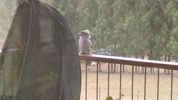 Deloraine Comfort - Holiday Find 2