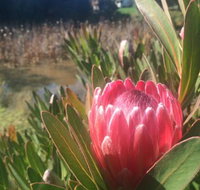 Creswick Cabin Retreat - Holiday Find