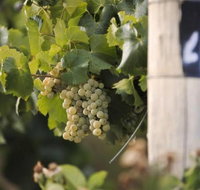 Ingenia Holidays Mudgee Valley - Holiday Find