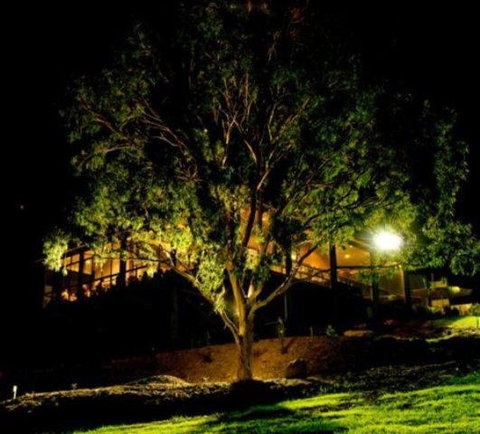 Oceanview Estate Vineyard Cottages - Holiday Find 4