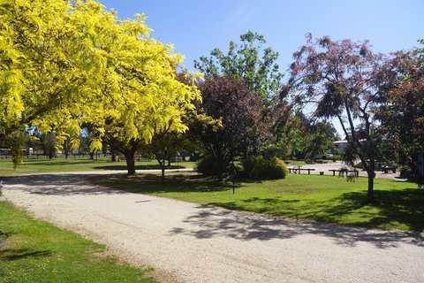 All Seasons Mansfield - Holiday Find 5