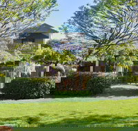 Tree Elle - Holiday Find