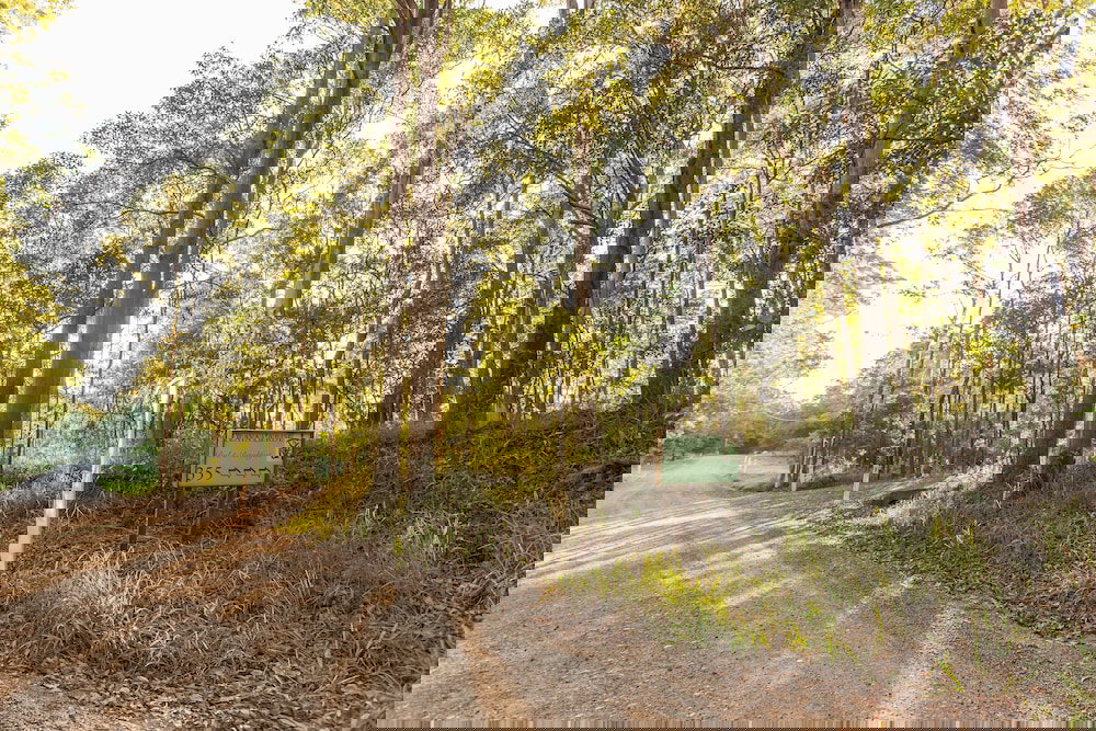 Ringtail Creek QLD Holiday Find