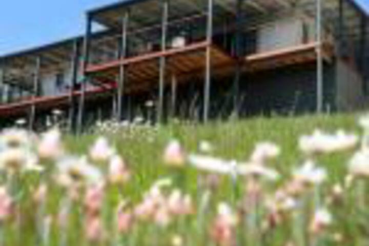 Abels Bay TAS Holiday Find