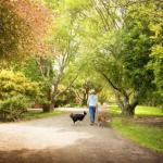 Johanna VIC Holiday Find