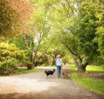 Johanna River Farm  Cottages - Holiday Find