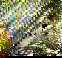 Cashelmara Beachfront Apartments - Holiday Find