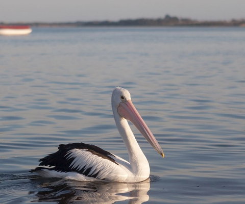 Oak Tree Lodge - Holiday Find 1