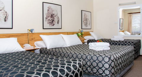 Aalbany Motel - Holiday Find 2