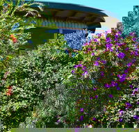 The Boomerangs - Holiday Find