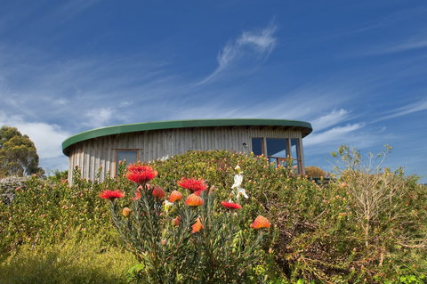 The Boomerangs - Holiday Find 1