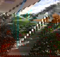 Tropical Palms