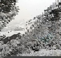 Alpenhorn - Holiday Find