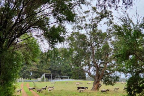 Cinnamon Coloureds Farm Cottages - Holiday Find 7