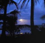 Sejala Beach Huts - Holiday Find