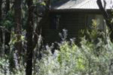 Twin Falls Bush Cottages - Holiday Find 0