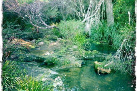 Twin Falls Bush Cottages - Holiday Find 2