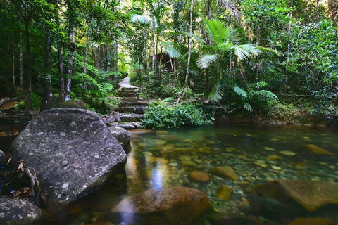 Daintree Cascades - Holiday Find 2