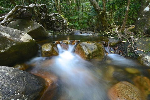 Daintree Cascades - Holiday Find 1