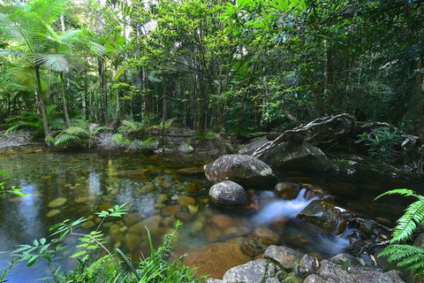Daintree Cascades - Holiday Find 5
