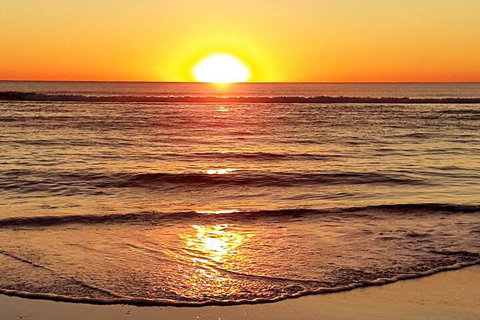 Le Beach Apartments - Holiday Find 7