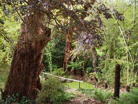 Hilltop - Holiday Find 3