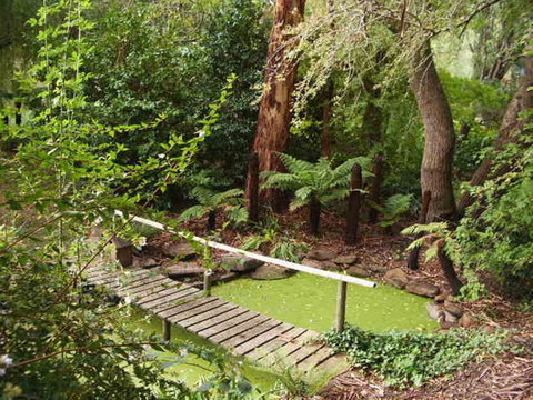 Hilltop - Holiday Find 6