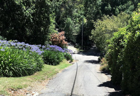 Hilltop - Holiday Find 2