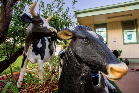 Big4 Shepparton Park Lane - Holiday Find 0