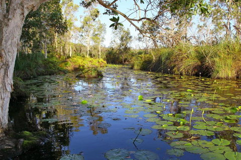 Salamander Bay Bed & Breakfast - Holiday Find 3