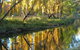 On The Banks - thumb 3