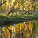 Lima South VIC Holiday Find