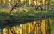 On The Banks - thumb 0