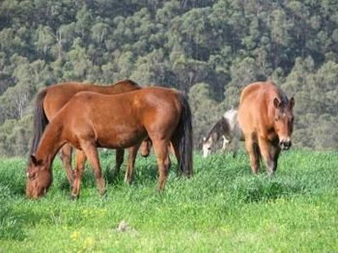 Hill Top Country Guest House - Holiday Find 0