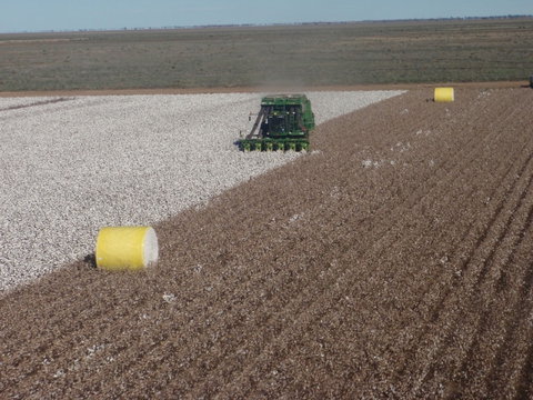 Corynnia Station - Holiday Find 1