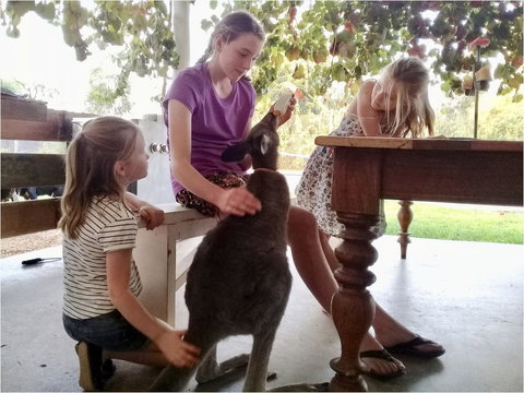 Corynnia Station - Holiday Find 2