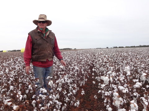 Corynnia Station - Holiday Find 5