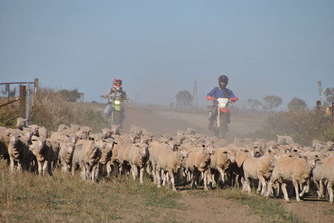 Corynnia Station - Holiday Find 4