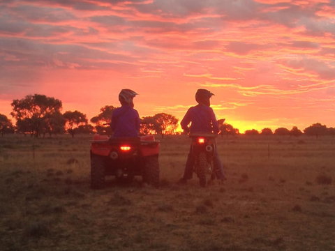 Corynnia Station - Holiday Find 0