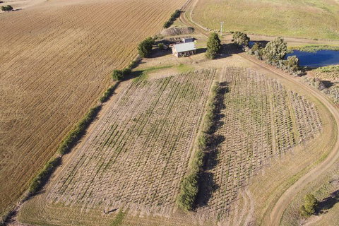 Charles Reuben Estate - Holiday Find 1