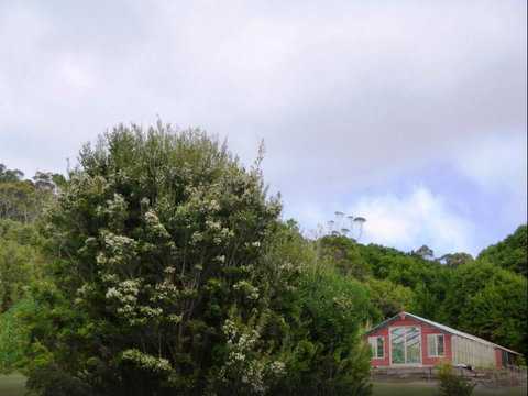 Rocky Glen Retreat King Island - Holiday Find 6