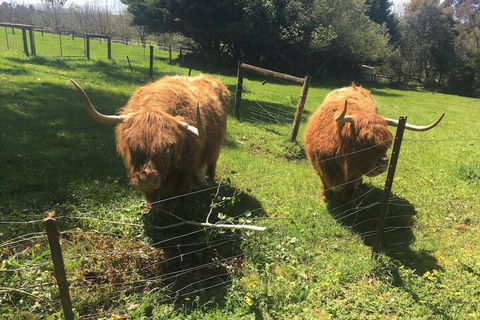 Neerim Country Cottages - Holiday Find 2