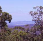 Ravensbourne Escape Cedar Lodge - Holiday Find