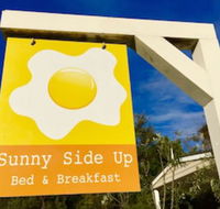 Sunny Side Up BB - Holiday Find