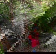 12 Apostles Cottages - Holiday Find