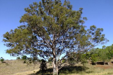 Deshons Retreat - Holiday Find 7