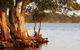 NRMA Myall Shores Holiday Park - thumb 2