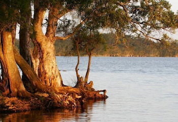 NRMA Myall Shores Holiday Park - Holiday Find 2